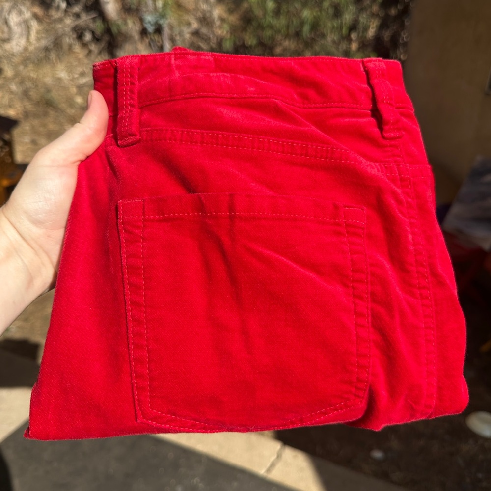 Velvet Pants